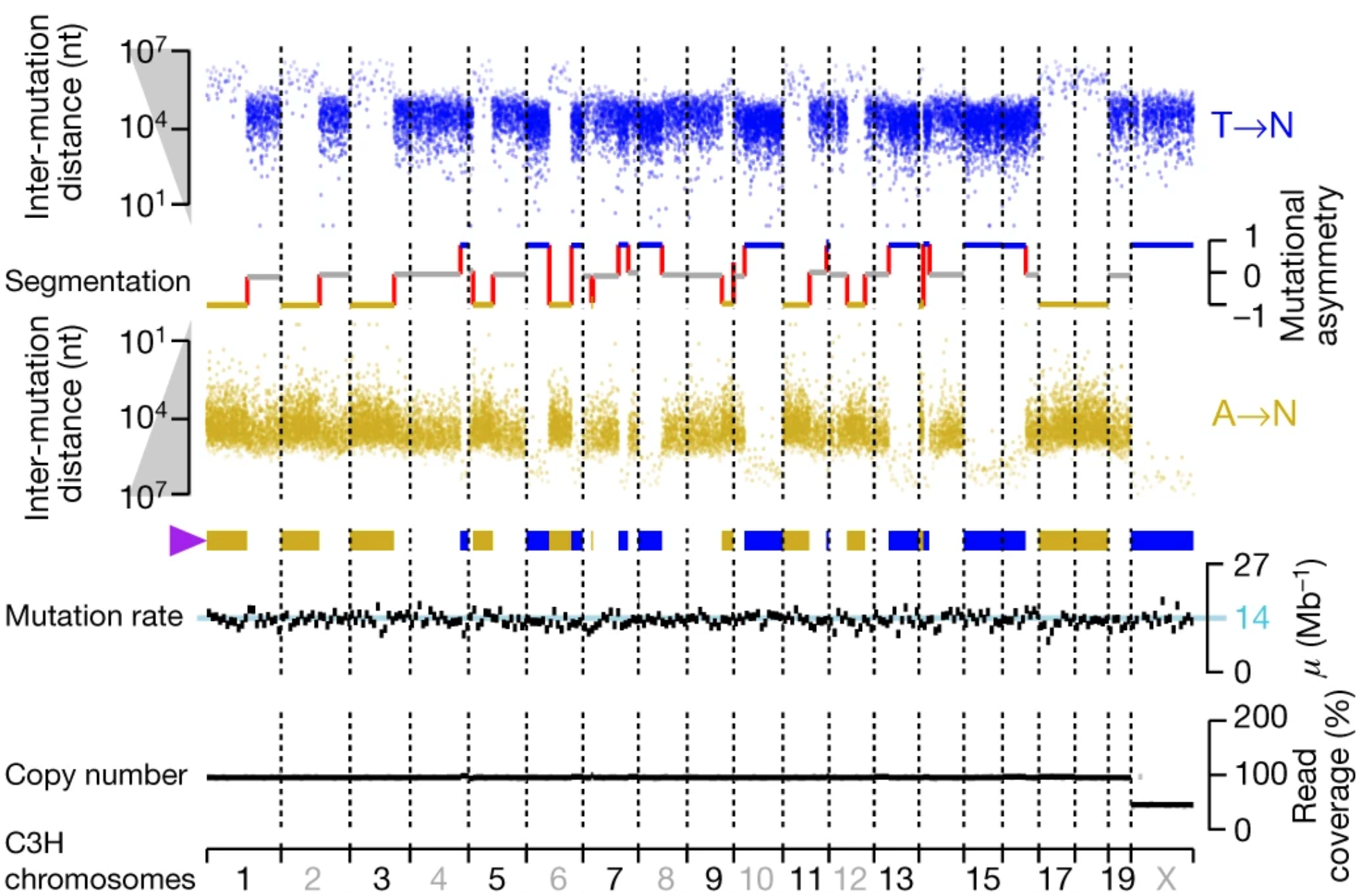 Screenshot 2020-06-24 at 16.42.05