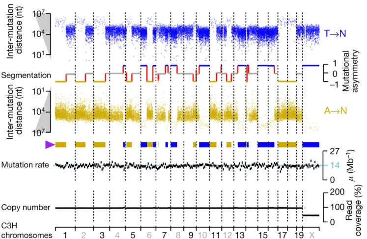 Screenshot 2020-06-24 at 16.42.05